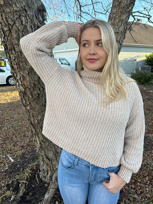 Turtleneck Knit Sweater